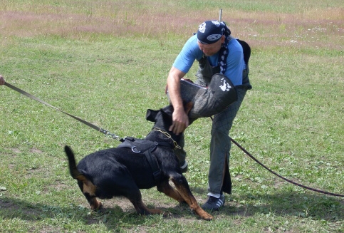 Training in Estonia 6/2007